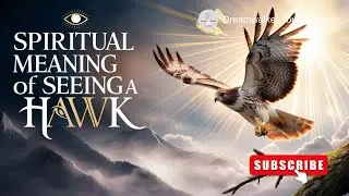 What Is the Spiritual Meaning of Seeing a Hawk? | Spirit Animal & Symbolism