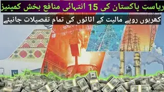Top 15 Highly Profitable Companies of Pakistan | Detailed Analysis of State Owned Enterprises