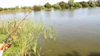 Carp Fishing -  Hinderclay Lakes - Suffolk