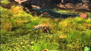 Guild Wars 2 Beta Weekend Event - test full detal