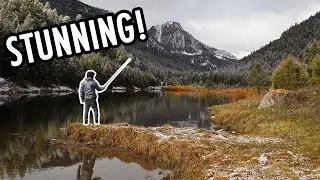 Fishing a Shockingly Beautiful Lake for Native Trout! (Tenkara Fly Fishing)