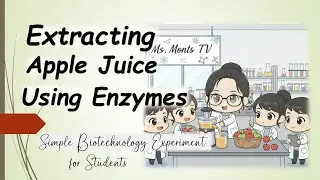 Extracting apple juice | simple experiment in biotechnology