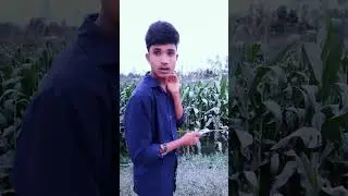 #vai500 #ভাই৫০০#comedy #shorts #fane #shorts #youtubshorts #mama vagne comedy official