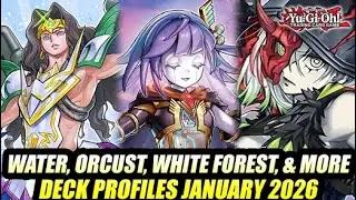 Water, Orcust, White Forest, & More! Yu-Gi-Oh! Deck Profiles January 2026