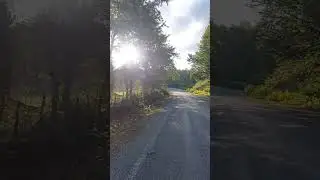 Uzun ince bir yoldayım... #shorts