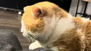 Такая безупречная