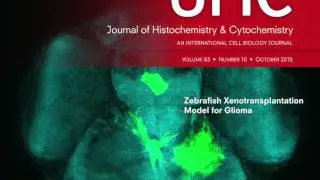 Journal of Histochemistry & Cytochemistry slideshow