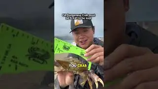 🦀 Советы начинающим ловцам крабов #рыбалка #ловлякрабов #Байареа #на открытом воздухе