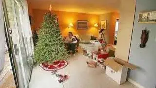 Christmas Tree Timelapse