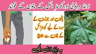 Arandi ka Faide| ارنڈ کے فائدے | harnoli ke fayde | castor ke fayde | Castor oil Leaf Benefits