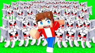 Breeding 1,000 Wolves To Troll My Friend in Minecraft!