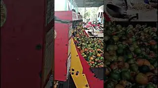arecanut machine work#farming #arecanutfarm