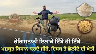 ਰੇਗਿਸਤਾਨ ਵਿੱਚ ਸੋਨਾ ਉਗਿਆ’ ਜੀਰੇ, ਇਸਬ ਤੇ ਛੋਲ਼ੀਏ ਦੀ ਕਮਾਲ ਖੇਤੀ 🫂। Nishu Hiker 🇮🇳 