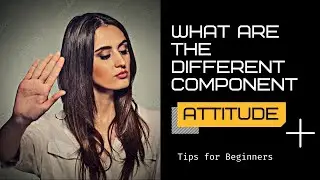 What Are The Different Component Of Attitude? | Cognitive, Affective & Behavioral Components!!
