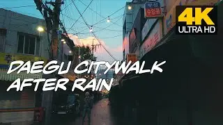 [4K] Daegu city walk after rain