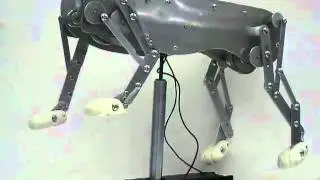 Animatronic Walking Tiger Mechanism