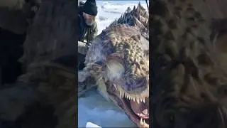 SHOCKING DISCOVERY: Creatures Found HIDDEN Under Antarctic ICE #creatures #antarctica #shorts