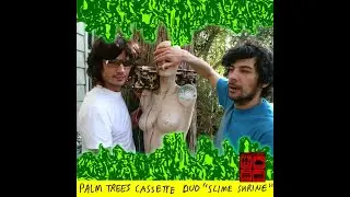 Palm Trees Cassette Duo - Swamp Of Souls (2008)