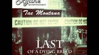 Tae Montana murda game
