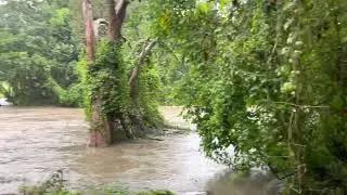 Brisbane flood 2022 bulimba creek