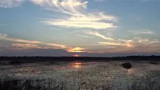 ACE Basin - Sunset