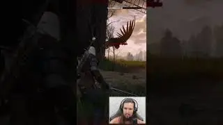 Очередные баги в ведьмаке 3 // bugs the witcher 3 #shorts