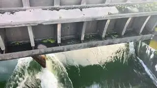 Ballard Locks - December 13, 2025 