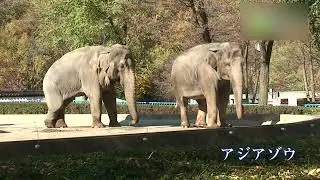 茶臼山動物園 - 地域情報動画サイト　街ログ