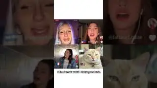 MintGemuk Top 10 TikTok videos