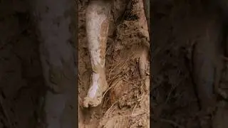 One wrong step in this mud could be deadly