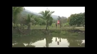 Flag Sky Fire Lanterns video - High Quality