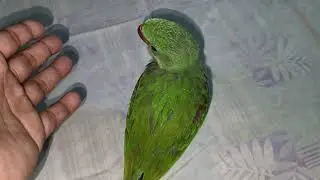 Rambo ke sath apne mann ki kuch baatein 
