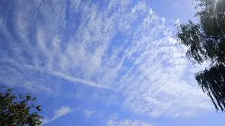 DJI Mini 3 Drone Flight... SkyLab Zaamslag, the Netherlands 21/07/2024