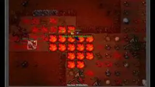 TIBIA Draho Zauno 