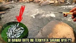 Mancing Ikan Wader Dapet Ikan Nya Babon2 Lurr | Mancing Beunteur Cianjur