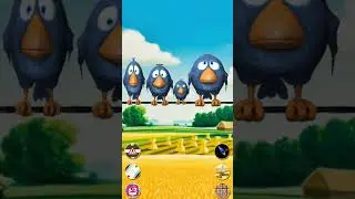 You Won&rsquo;t Expect This Answer 😂 Talking Birds On A Wire Game