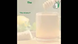 The Aroma Planet's Lemon Loofah Aromabar