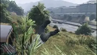 Stupid deaths