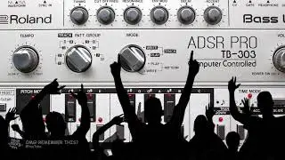 UNKNOWN ARTIST - ACID TRANCE 303 - 