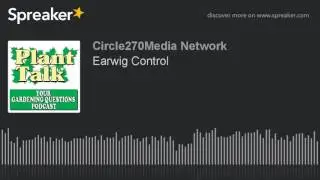 Earwig Control