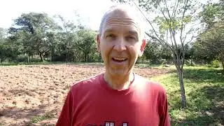 WELCHE VORTEILE HAT MANDIOCA (MANIOK DIE PARAGUAYISCHE KARTOFFEL) UND WIE ICH ES ANBAUE?