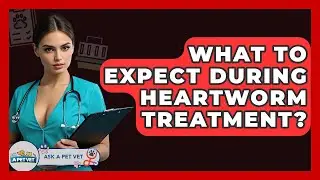 What To Expect During Heartworm Treatment? - Ask A Pet Vet