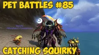 Pet Battles #85 - Catching Squirky