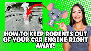 How To Keep Rodents Out Of Your Car Engine | Mighty Mint Rodent Repellent Spray Review