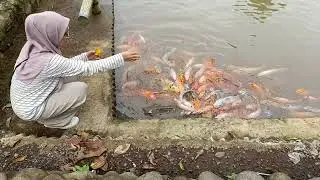 Bermain Sama ikan di Kampung Naga
