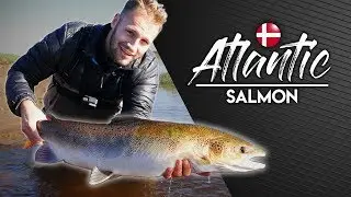 GUIDE -- How to catch Atlantic Salmon on spinner