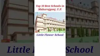 Top 10 Best Schools in Maharajaganj, U P