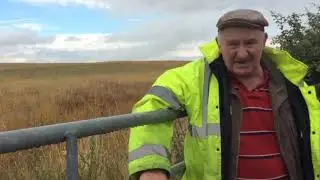 Staffordshire Hoard 10 years on | Fred Johnson