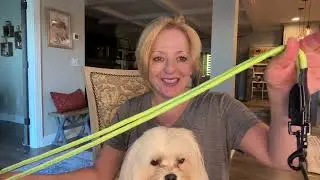 Dual Dog Leash Review &ndash; PetBonus No Tangle, Two Dog Solution #ad