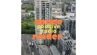 24 - Space Raider - D.A.V.I.D. (DJ Audits) - Positive Audio